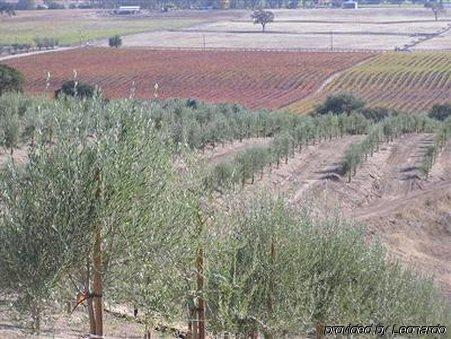 Alta Cresta Orchard & Inn El Paso de Robles Einrichtungen foto